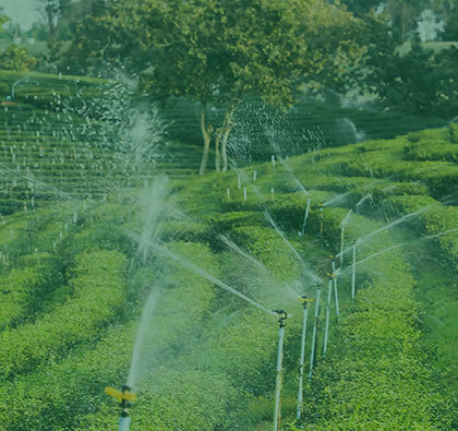 Irrigation Services
