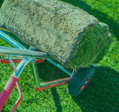 Landscape Installation & Repairs